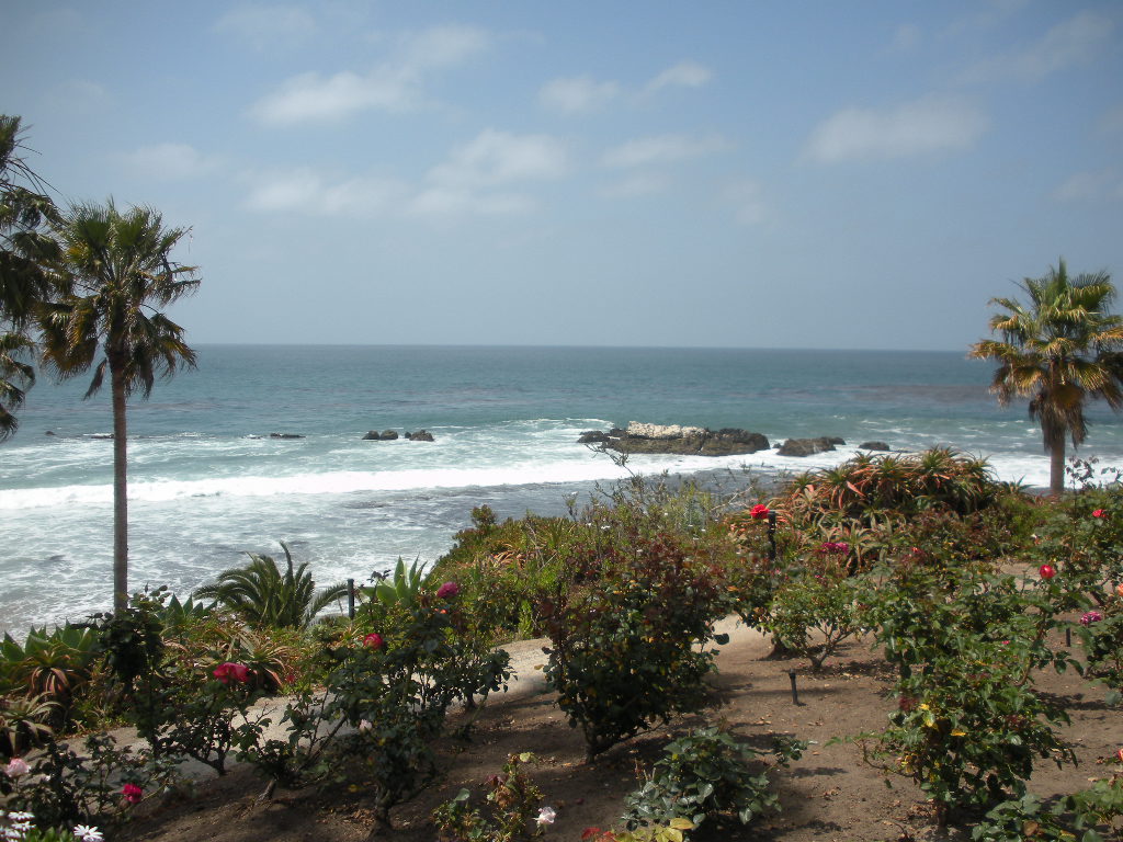 a0144811_23384019.jpg