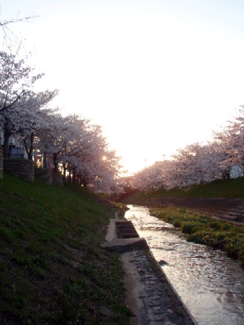 f0043911_13591761.jpg