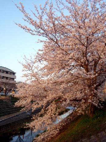 f0043911_13595132.jpg
