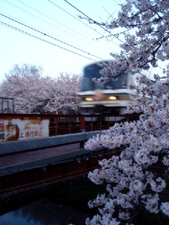 f0043911_1411211.jpg