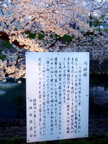 f0043911_141345.jpg