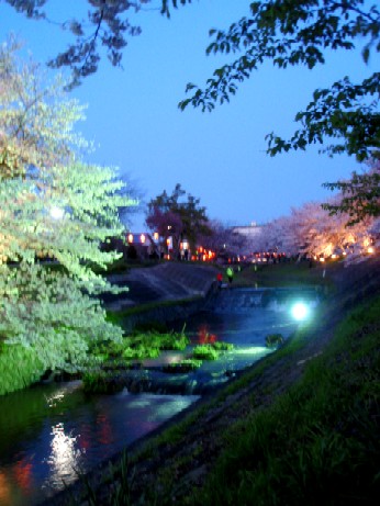 f0043911_1435279.jpg