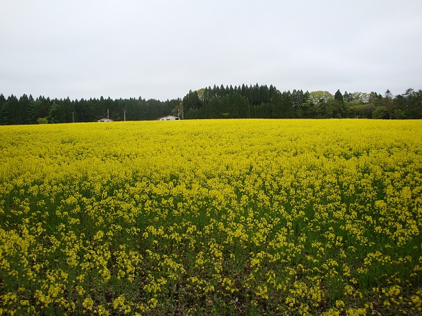 f0235711_23441129.jpg