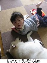 お姉ちゃんの立場は辛いワン。_c0182012_974428.jpg