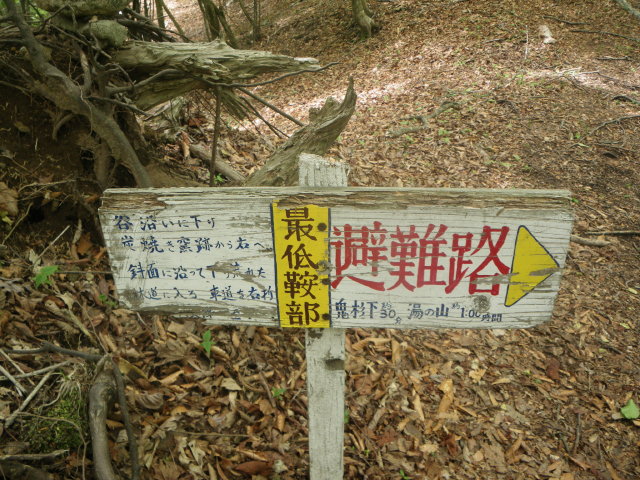 d0006512_9584292.jpg