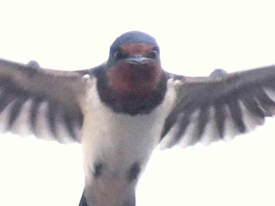 f0218012_003279.jpg