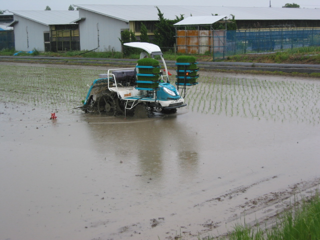 「田植え」_a0120513_18163468.jpg