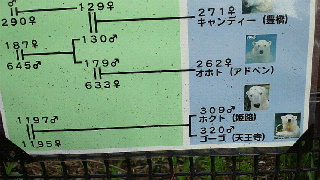 a0151913_22452614.jpg