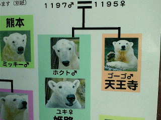 a0151913_22452618.jpg