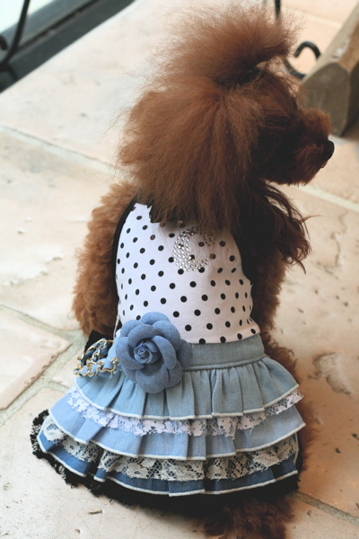 uP colors♡_d0060413_20453634.jpg
