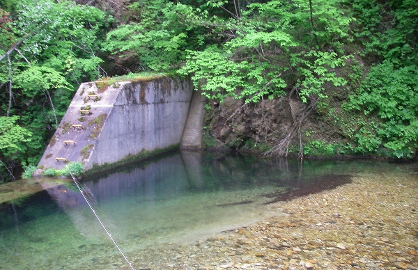 寒い(天気も釣果も)_a0164816_23202223.jpg