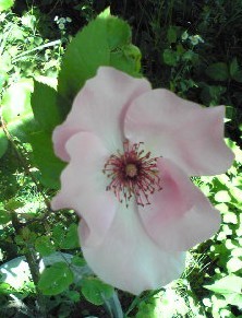 d0085018_0243360.jpg