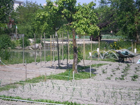 c0124619_14294038.jpg