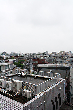 雨にも負けず_f0170519_2373015.jpg