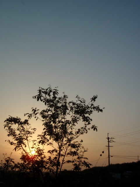e0136620_791749.jpg