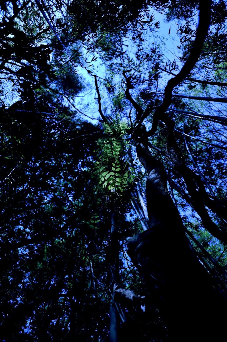 a0059621_14511055.jpg