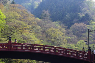 c0107924_2020591.jpg