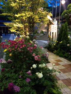 e0177824_2311854.jpg