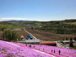 東藻琴（ひがしもこと）芝桜まつり②_f0181524_23561069.jpg