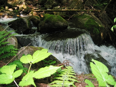 f0203324_940957.jpg