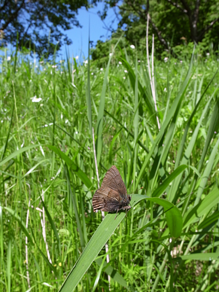 d0054625_21324073.jpg