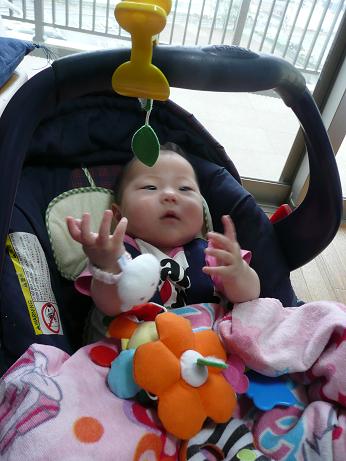 a0050728_16583448.jpg