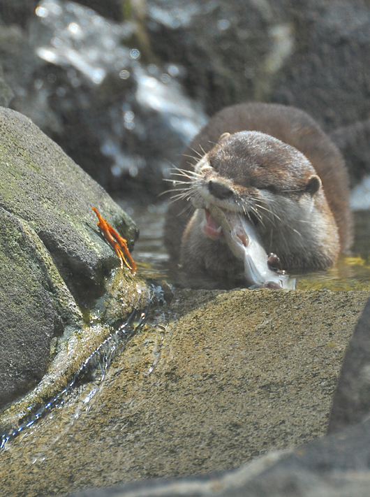 動物園_b0169630_10455581.jpg