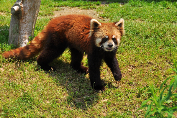 動物園_b0169630_1046249.jpg