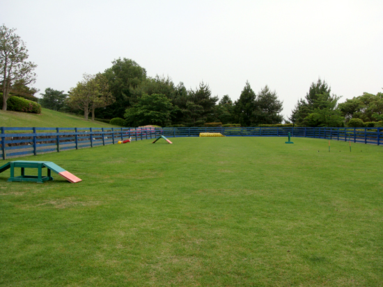 c0117831_1954739.jpg