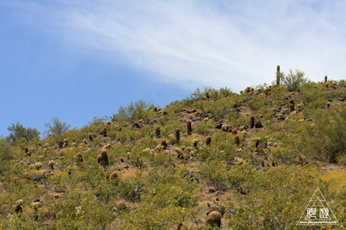 042 Thunderbird Conservation Park ~命がけの探検~_c0211532_7545588.jpg