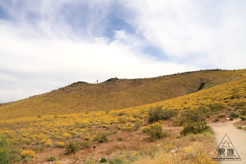 042 Thunderbird Conservation Park ~命がけの探検~_c0211532_7561799.jpg