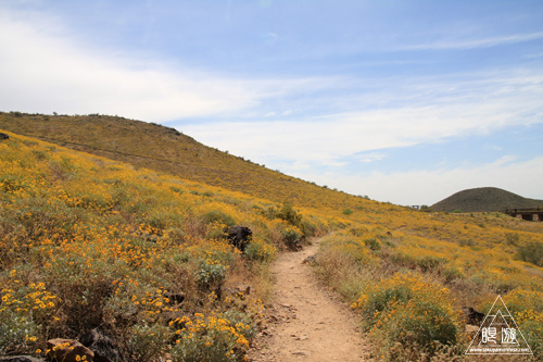 042 Thunderbird Conservation Park ~命がけの探検~_c0211532_7573234.jpg