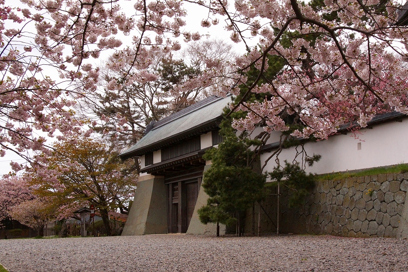 f0229832_14425116.jpg