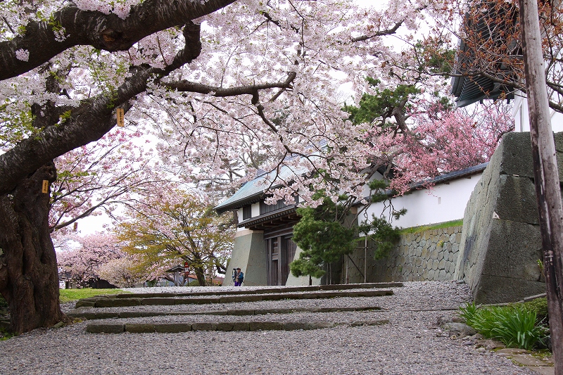 f0229832_14465524.jpg