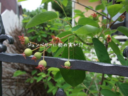 爽やか~な。。。巾着トート♪_f0023333_8331070.jpg