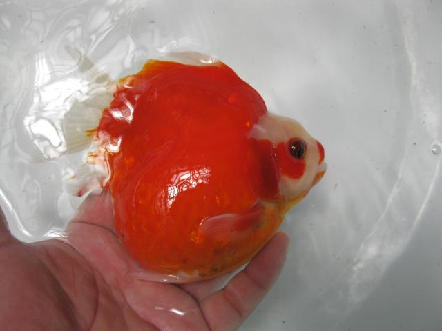 f0214235_15101229.jpg