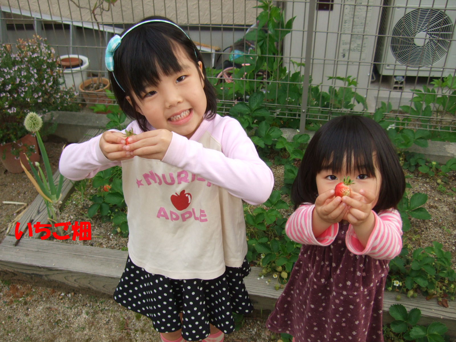 b0176237_15392852.jpg
