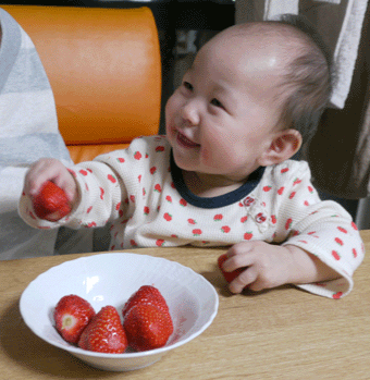 c0080038_16582826.gif