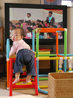c0080038_16592638.gif