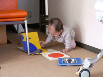 c0080038_17101328.gif