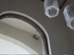 f0023446_15126.jpg