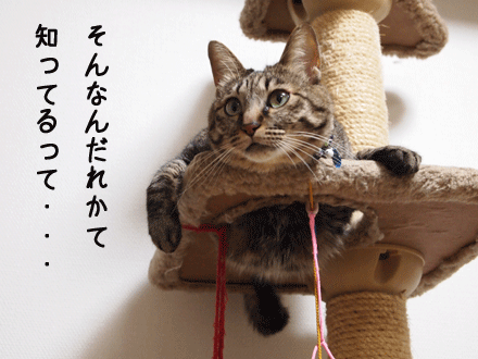 f0116546_1824338.gif