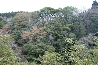 b0025850_23345630.jpg