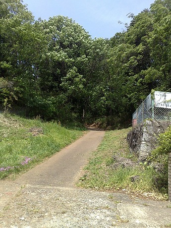 トレッキング in 日本 （６） 相原駅から平山城址公園駅を歩く パート１」_e0195952_11212325.jpg