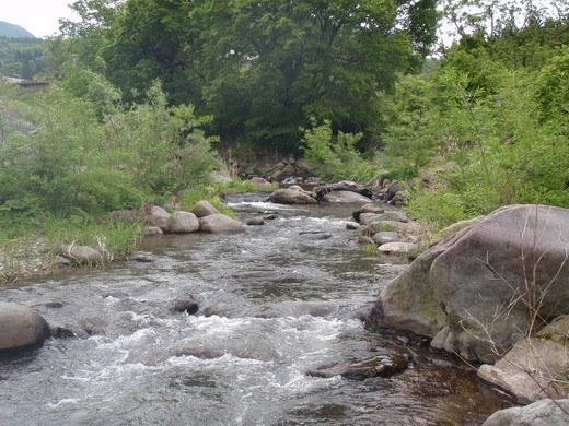 b0177355_22271520.jpg