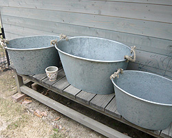 d0050155_5282216.jpg