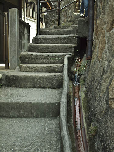 f0202957_10315351.jpg
