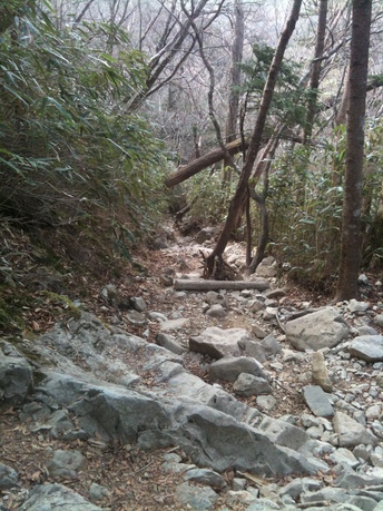 e0193261_23273969.jpg