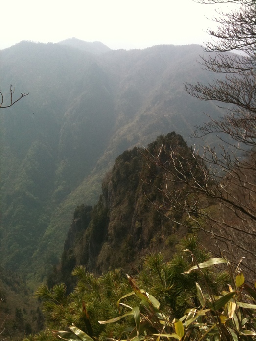 e0193261_23321599.jpg