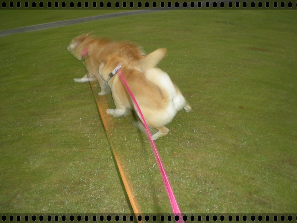 2010年5月23日(日)え~!こころちゃんがキョンを!_f0060461_850471.jpg